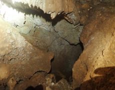 WhatsApp Image 2020-09-09 at 18.53.21 (2)