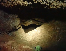 WhatsApp Image 2020-09-09 at 18.53.21