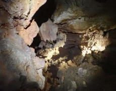 WhatsApp Image 2020-09-09 at 18.53.29 (1)