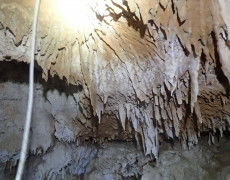 WhatsApp Image 2020-09-09 at 18.53.29 (2)