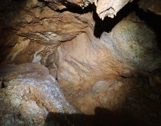 WhatsApp Image 2020-09-09 at 18.53.29