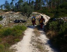 WhatsApp Image 2020-09-09 at 18.54.04