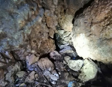 WhatsApp Image 2020-09-16 at 16.34.59