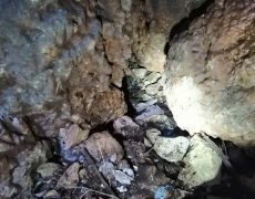 WhatsApp Image 2020-09-16 at 16.34.59