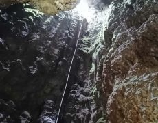 WhatsApp Image 2020-09-16 at 16.35.01 (1)