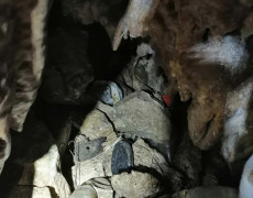 WhatsApp Image 2020-09-16 at 16.35.02