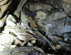 WhatsApp Image 2020-09-16 at 16.35.04