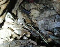 WhatsApp Image 2020-09-16 at 16.35.04