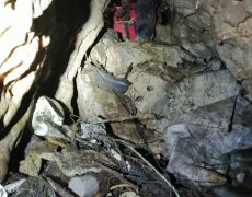 WhatsApp Image 2020-09-16 at 16.35.05