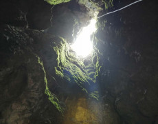 WhatsApp Image 2020-09-16 at 16.35.15 (1)