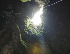 WhatsApp Image 2020-09-16 at 16.35.15 (1)