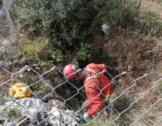 Figura 17 - Entrada do Algar do Sabugueiro (Foto: Marco Matias - GEM)