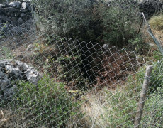 WhatsApp Image 2020-09-16 at 16.36.12