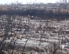 WhatsApp Image 2020-10-09 at 20.10.08