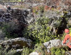 WhatsApp Image 2020-10-10 at 20.39.05 (1)