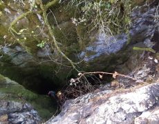 WhatsApp Image 2020-10-10 at 20.39.06