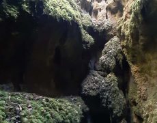 WhatsApp Image 2020-10-10 at 20.39.07 (1)