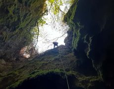 WhatsApp Image 2020-10-10 at 20.39.07