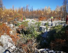 WhatsApp Image 2020-10-10 at 20.46.08