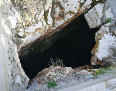 WhatsApp Image 2020-10-10 at 20.46.09 (1)