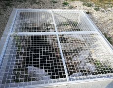 WhatsApp Image 2020-10-10 at 20.46.10