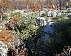 Figura 2 - Foto da entrada do Algar da Cratera (Foto: Filipe Castro - GEM)
