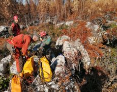 WhatsApp Image 2020-10-10 at 20.55.10