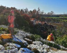 WhatsApp Image 2020-10-10 at 20.55.11