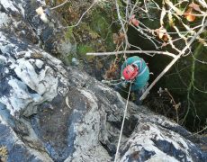 WhatsApp Image 2020-10-10 at 20.55.17