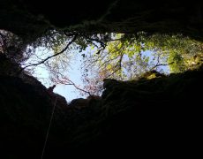 WhatsApp Image 2020-10-10 at 20.55.18