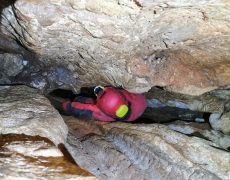 WhatsApp Image 2020-10-10 at 21.02.55