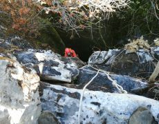 WhatsApp Image 2020-10-10 at 21.02.58