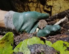 WhatsApp Image 2020-10-10 at 21.02.59 (2)