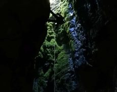 WhatsApp Image 2020-10-10 at 21.03.00 (1)