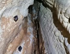 WhatsApp Image 2020-10-10 at 21.06.39 (1)