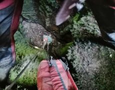 WhatsApp Image 2020-10-10 at 21.06.39