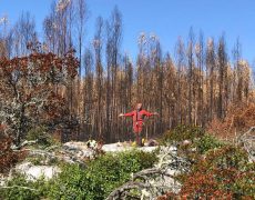 WhatsApp Image 2020-10-10 at 21.12.41 (1)