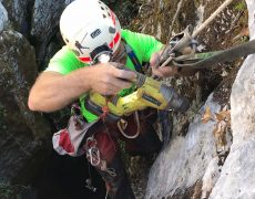 WhatsApp Image 2020-10-10 at 21.12.42 (1)