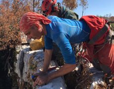 WhatsApp Image 2020-10-10 at 21.12.42