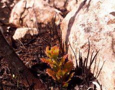 WhatsApp Image 2020-10-11 at 13.15.44