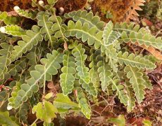 WhatsApp Image 2020-10-11 at 13.15.45