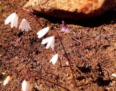 WhatsApp Image 2020-10-11 at 13.15.49