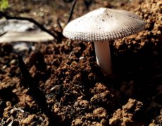 WhatsApp Image 2020-10-11 at 13.15.50