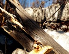 WhatsApp Image 2020-10-11 at 13.15.52