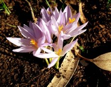 WhatsApp Image 2020-10-11 at 13.15.55