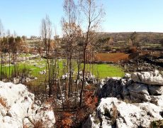 WhatsApp Image 2020-10-11 at 13.16.00