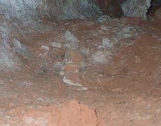 WhatsApp Image 2020-10-18 at 20.35.59