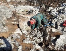 Figura 6 - Entrada do Algar da Pedra Torta (Foto: Pedro Fazenda - NAMMI/AESDA)