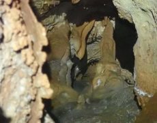 WhatsApp Image 2020-10-18 at 20.36.01