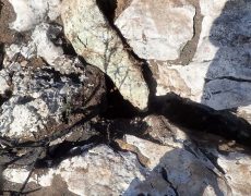 WhatsApp Image 2020-10-18 at 20.36.02 (1)